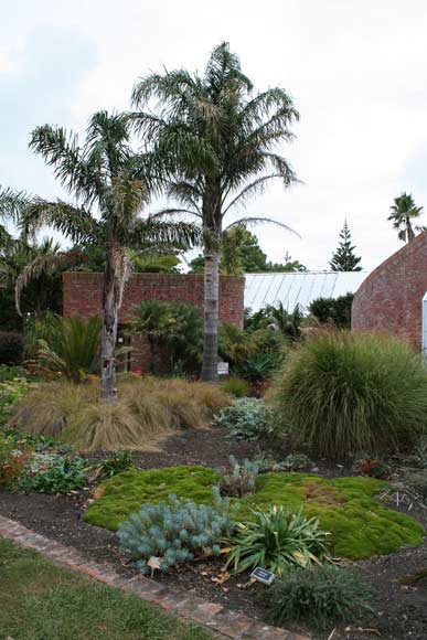 Bason Botanic Gardens