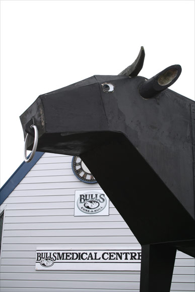 Cure-a-bull 