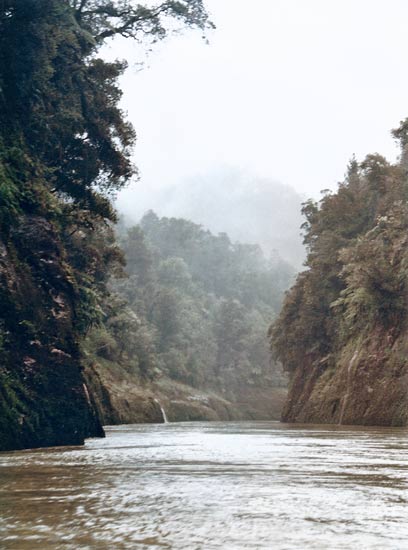 The Whanganui River