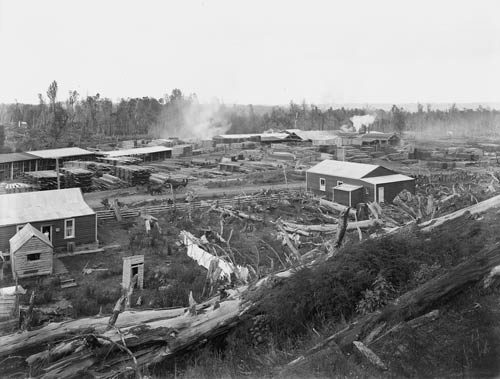 Sawmill, Ohakune