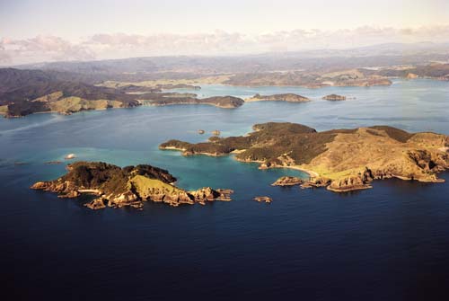 Moturua Island