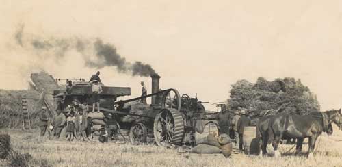 Processing wheat