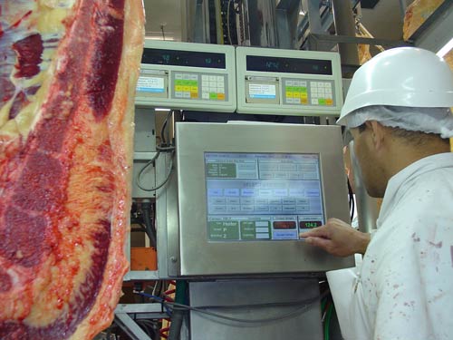 Computerised weighing and grading
