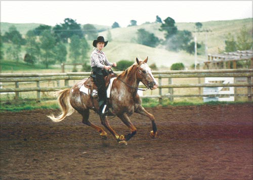 Appaloosa 