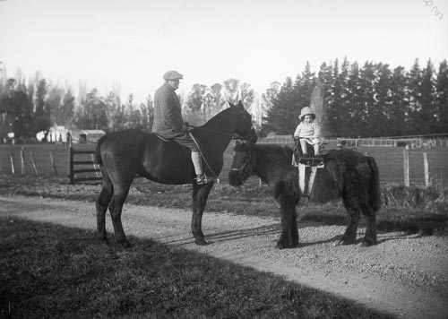 Horse and pony