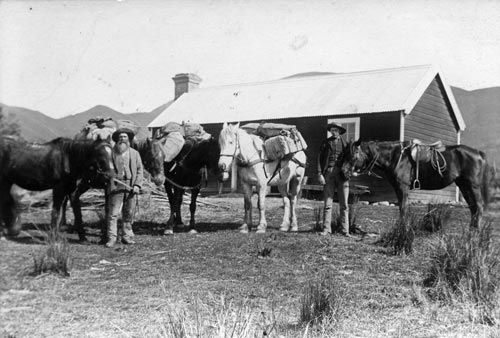 Packhorses