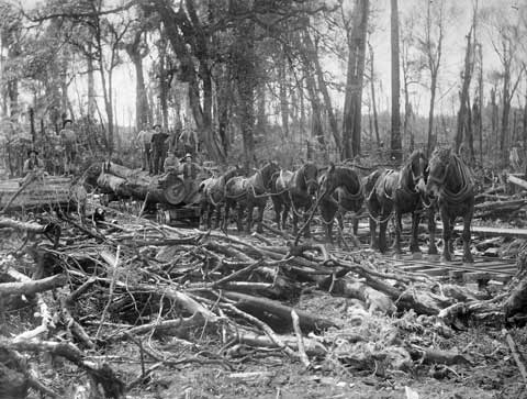 Log hauling