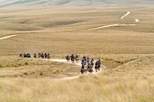 Horse trekking