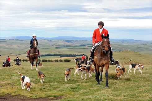 The hunt 