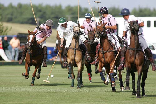 Polo 