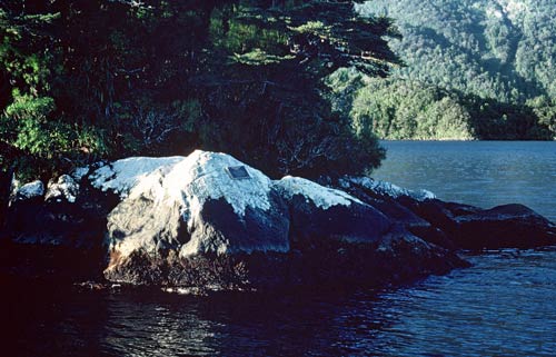 Marcaciones Point, Doubtful Sound, Fiordland
