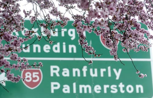 Palmerston to Ranfurly and beyond