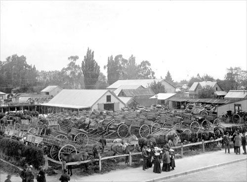 Market day, Rangiora