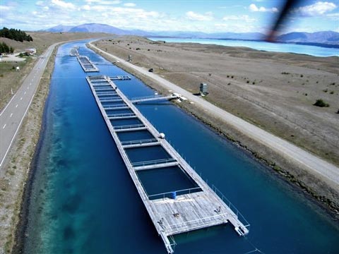 Mt Cook salmon farm