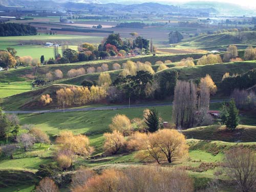 Trees and farmland near Gisborne