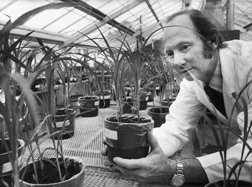Soil fertility experiment 