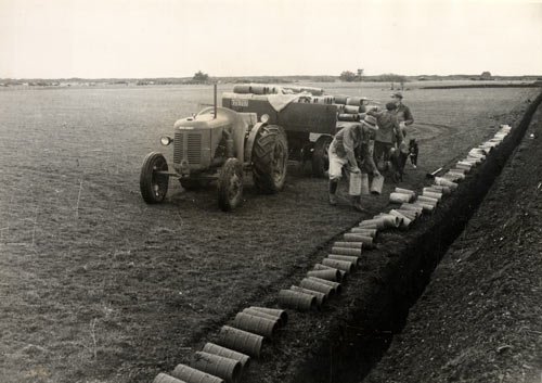 Tile drains