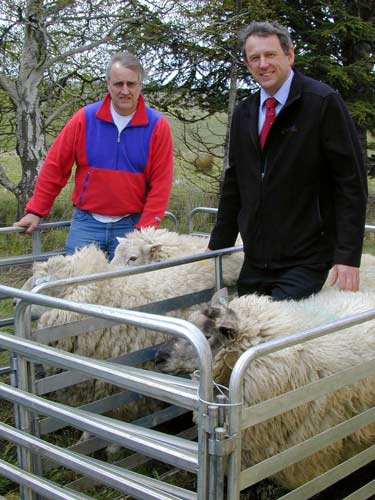 Internal parasite research, Invermay Research Centre