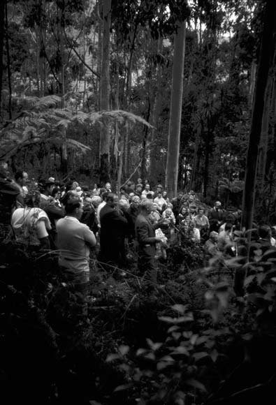 New Zealand Farm Forestry Association