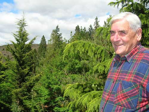 Jolyon Manning and trees 