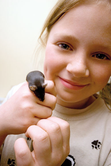 Children and pets 