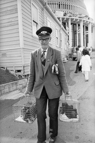 SPCA inspector at work