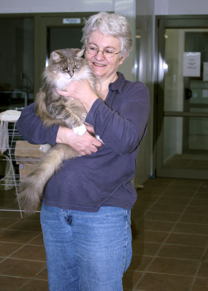 Caring for cats