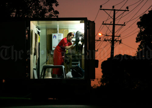Mobile dog groomer 