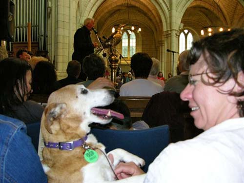 Animal blessing service 