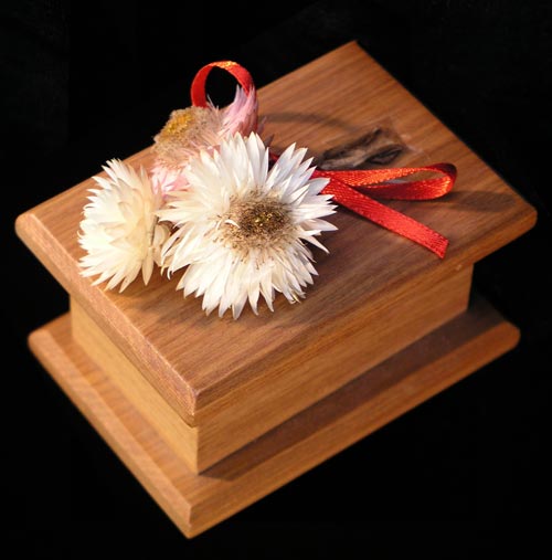 Guinea pig’s ashes