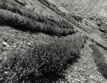 High-altitude erosion control