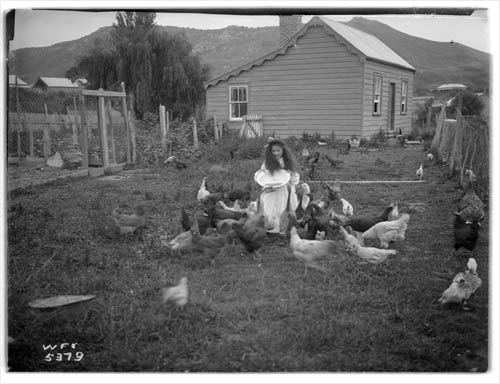 Daughter feeding chooks 