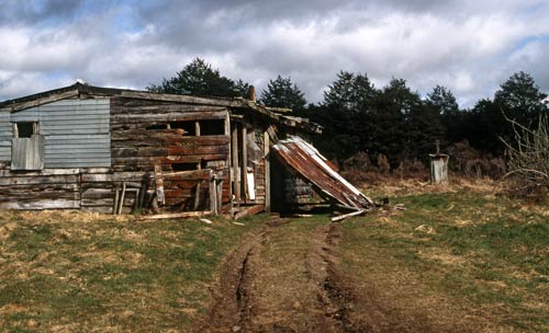 Abandoned farm