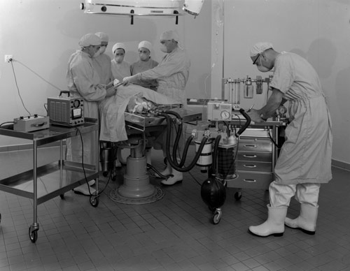 Trainee vets at the operating table