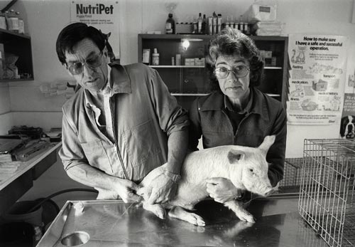 Veterinary clubs