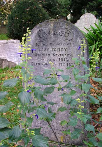 Bolton Street cemetery