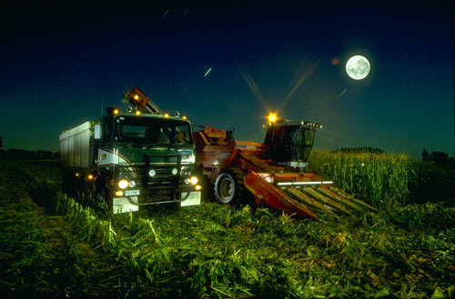 Harvest moon