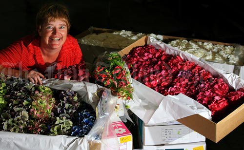 Flowers for export