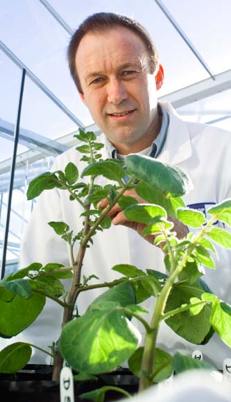 Dr Tony Conner and GM potato