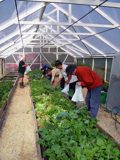 Horticulture students