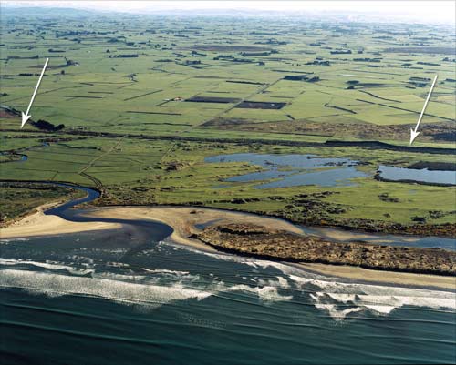 The Southland plains