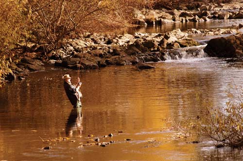Trout fishing, Mataura River