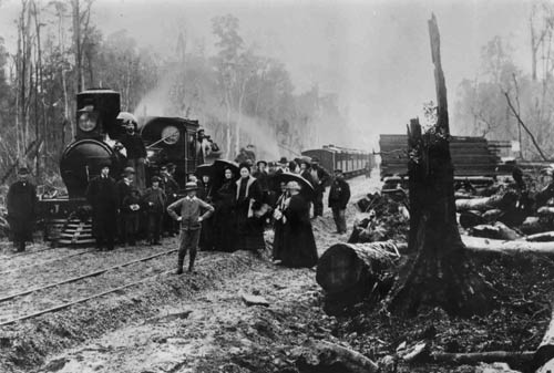 Opening of the Seaward Bush railway
