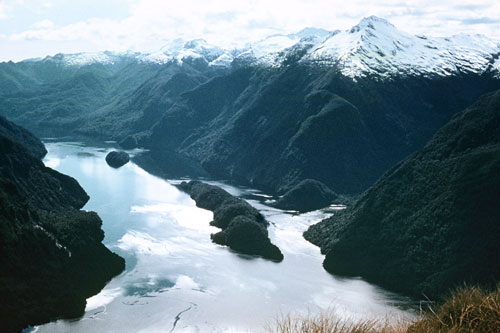 Elizabeth Island, Doubtful Sound