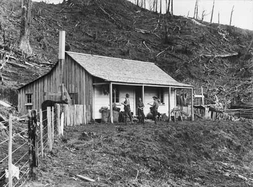 Bush home