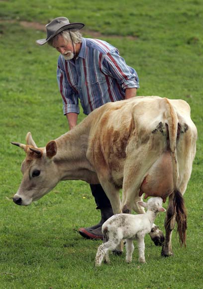 Lifestyle farmer