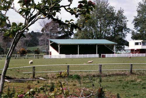 Kaitāia Show grandstand 