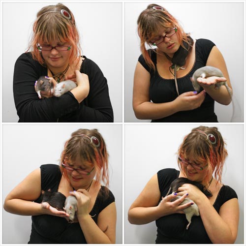 Pet rats 