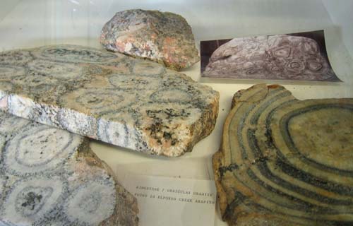 Orbicular granite
