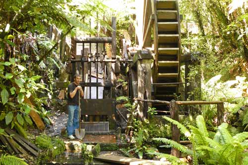 Mitchells Gully gold mine